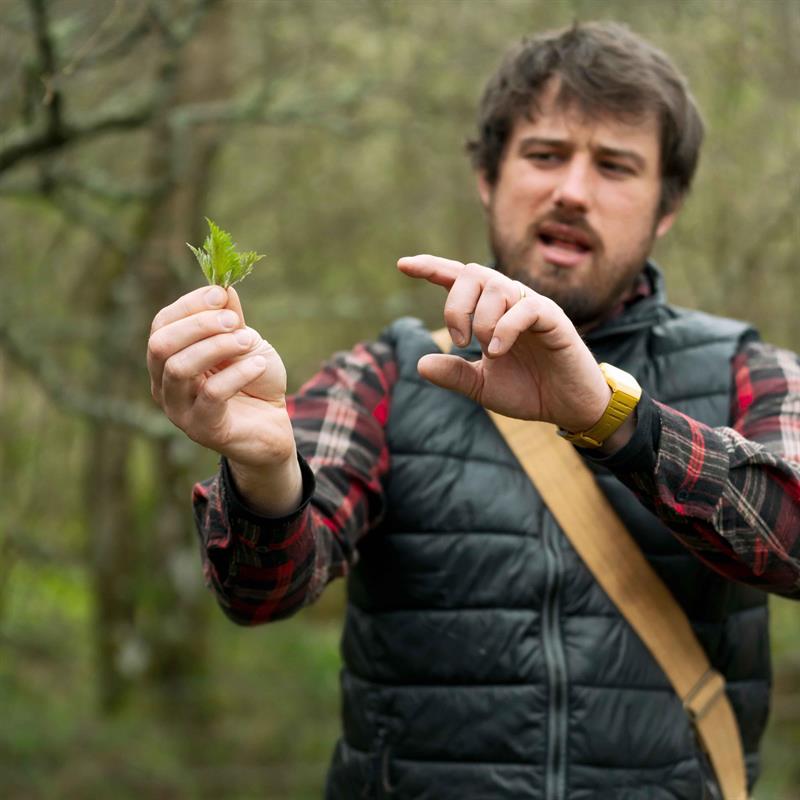 Foraging Walk